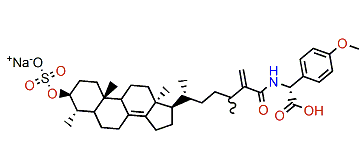 Polymastiamide A